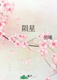 《陨星》