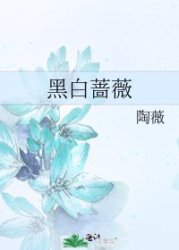 《黑白蔷薇》