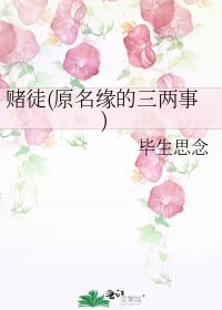 赌徒(原名缘的三两事)