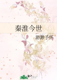 《秦淮今世》