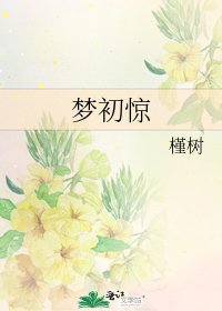 梦初惊