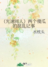 （光速同人）两个傻瓜的混乱记事