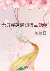 《无良穿越遇到极品妖孽》