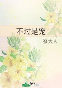 《不过是宠》