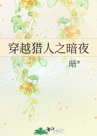 穿越猎人之暗夜