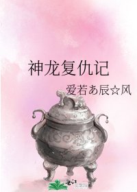 《神龙复仇记》