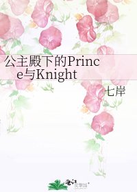 《公主殿下的Prince与Knight》