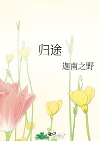 《归途》