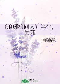 （琅琊榜同人）半生，为珏