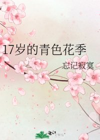 《17岁的青色花季》