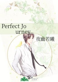 《Perfect Journey》