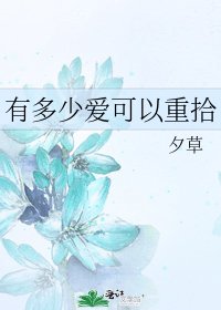 《有多少爱可以重拾》