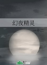 幻夜精灵