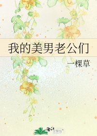 《我的美男老公们》