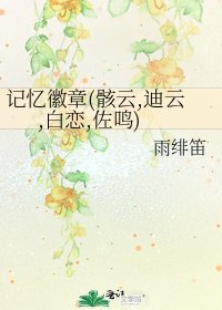 《记忆徽章(骸云,迪云,白恋,佐鸣)》