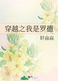 《穿越之我是罗德》