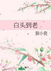 《白头到老》