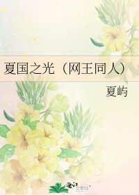 《夏国之光(网王同人)》