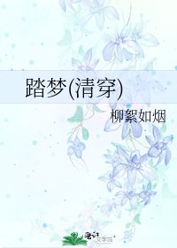 《踏梦(清穿)》