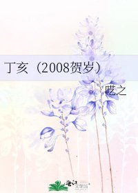 《丁亥(2008贺岁)》