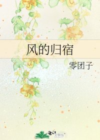 《风的归宿》