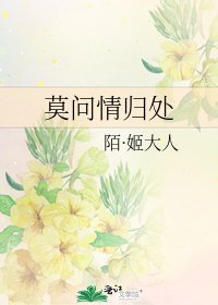 《莫问情归处》