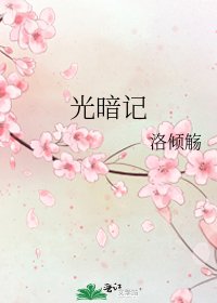 《光暗记》