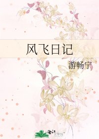 《风飞日记》