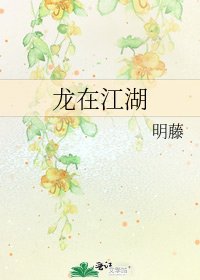 《龙在江湖》