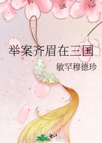 《举案齐眉在三国》