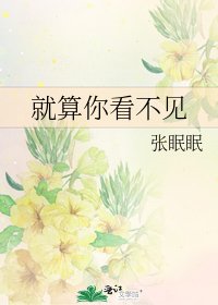 《就算你看不见》