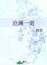 《沧澜一逝》