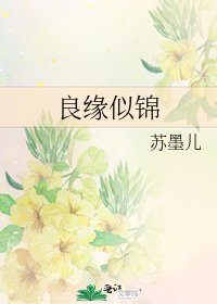 《良缘似锦》