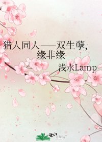 《猎人同人——双生孽,缘非缘》