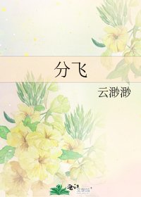《分飞》