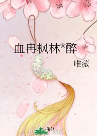 《血冉枫林*醉》