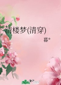 清楼梦(清穿)
