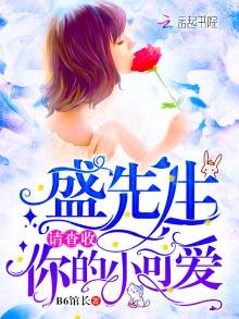 《盛先生请查收你的小可爱》