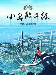 《我的小岛能升级》