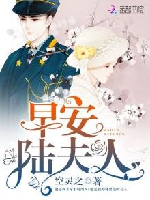 《早安,陆夫人》