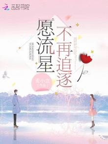 愿流星不再追逐