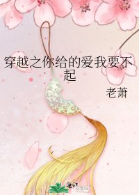 穿越之你给的爱我要不起
