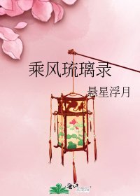 《乘风琉璃录》