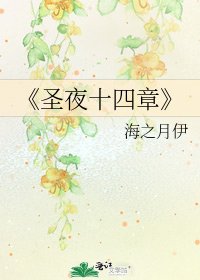 《圣夜十四章》