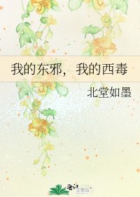 《我的东邪,我的西毒》