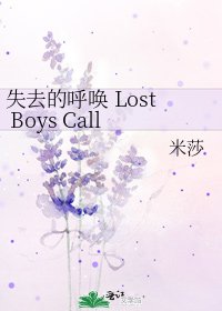 《失去的呼唤 Lost Boys Calling》