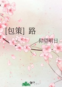 [包策] 路