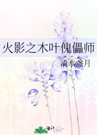 《火影之木叶傀儡师》