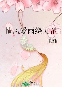《情风爱雨绕天罡》