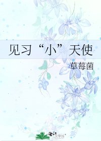 《见习“小”天使》